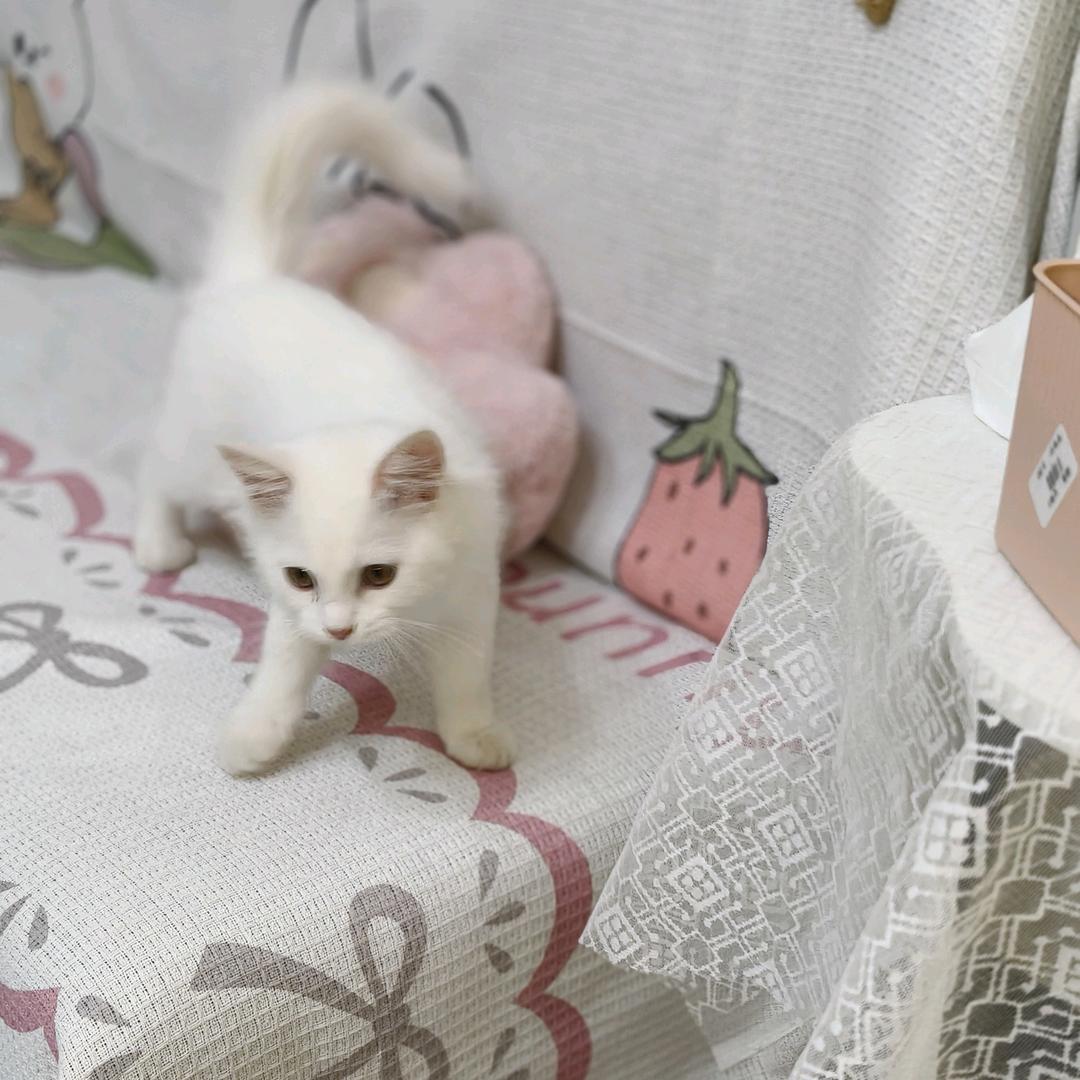 岁岁✨️（努力涨粉中）