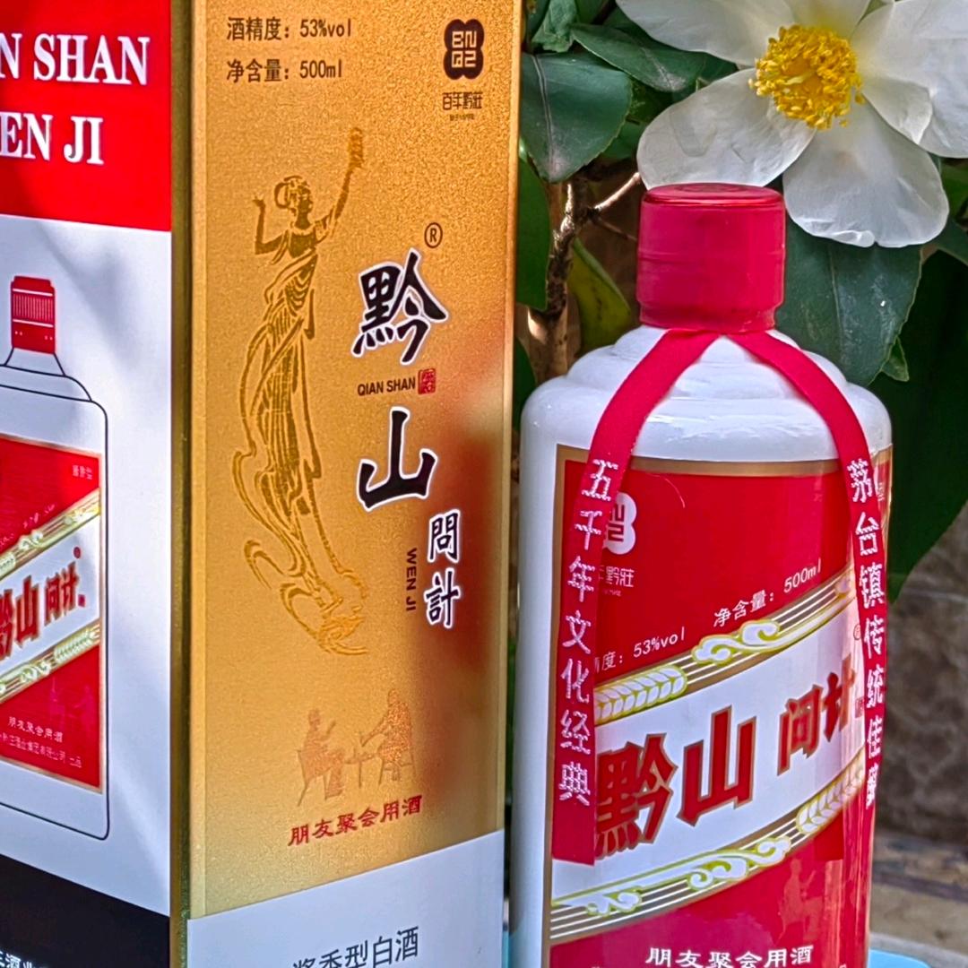 黔山问计