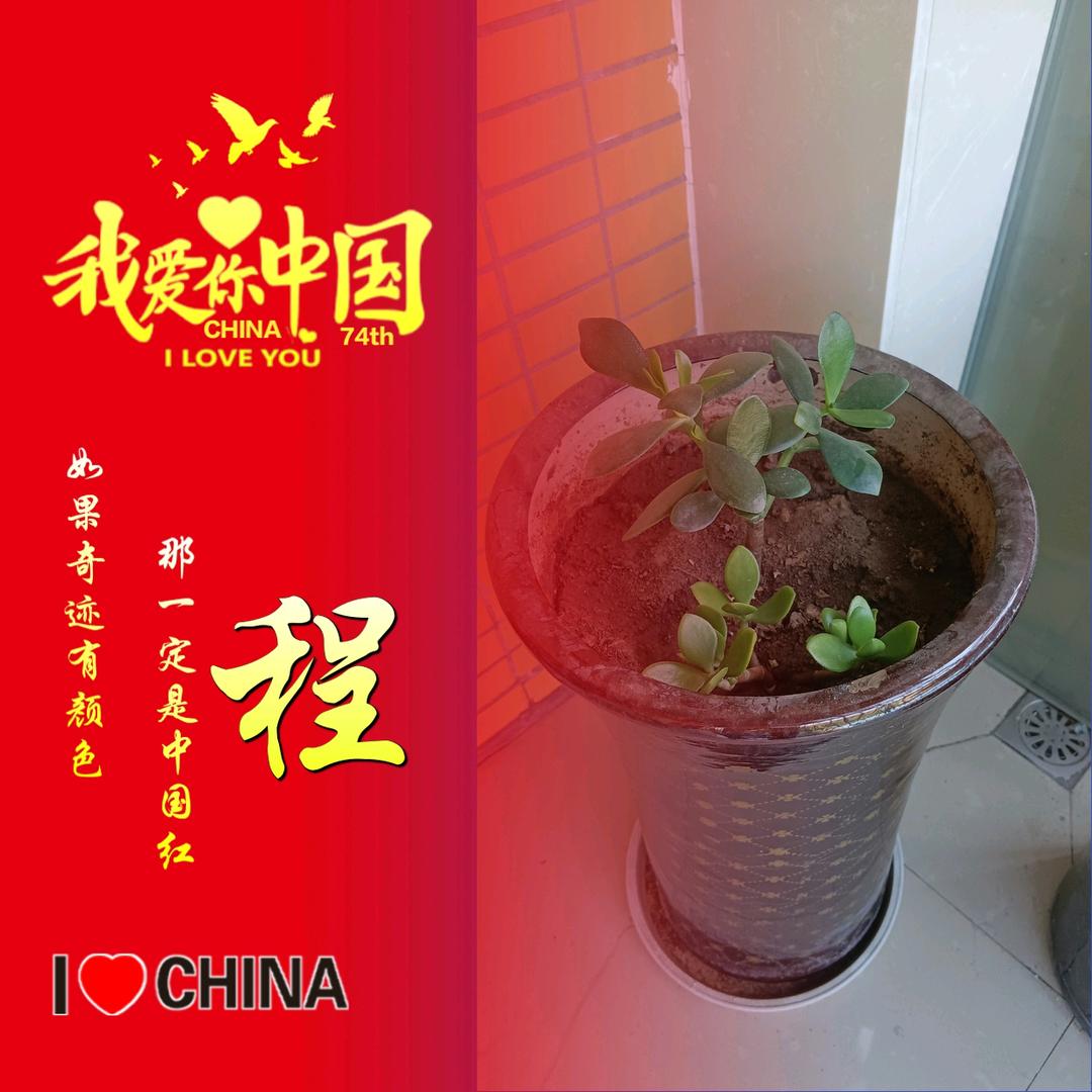 榴❤芒
