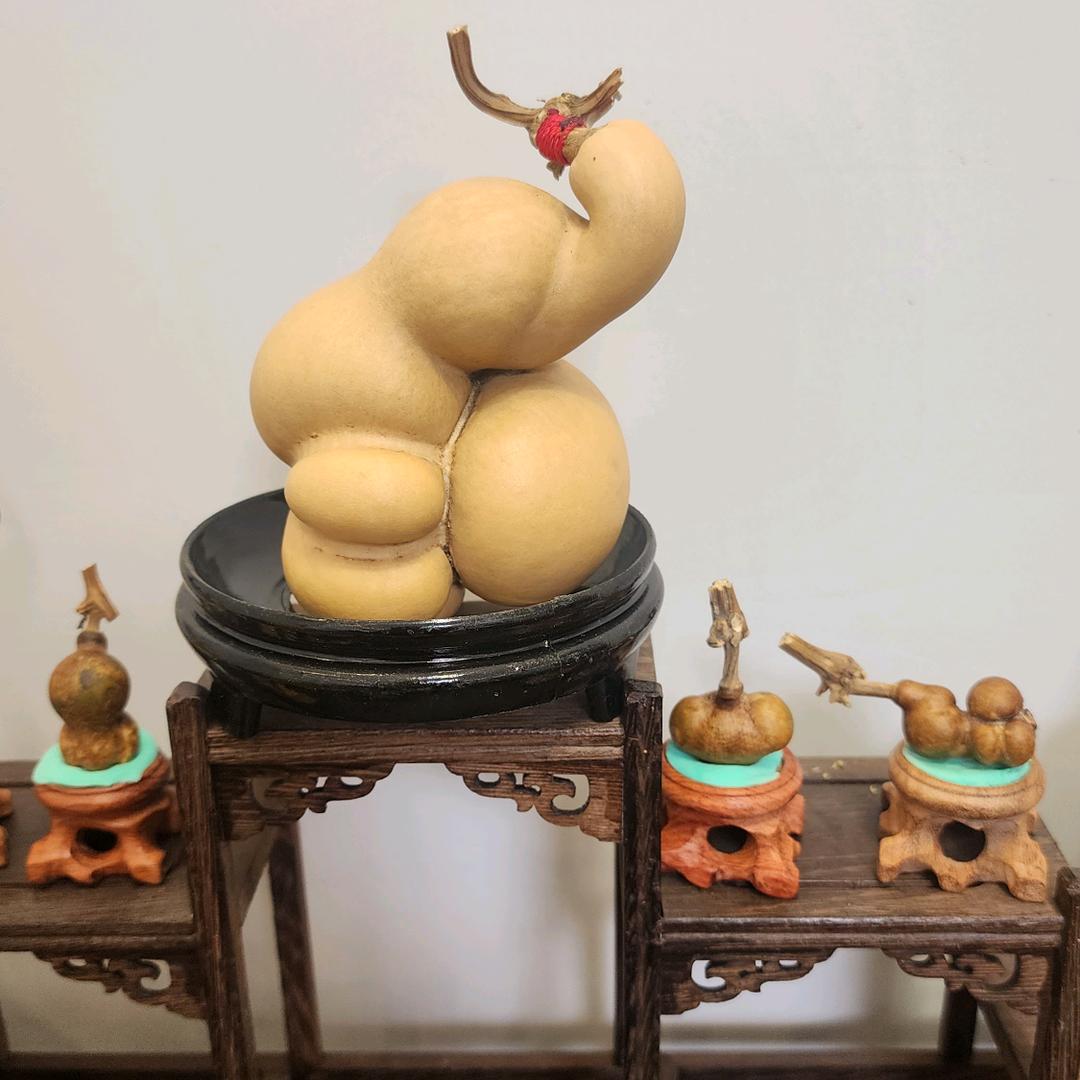 千葫万宝
