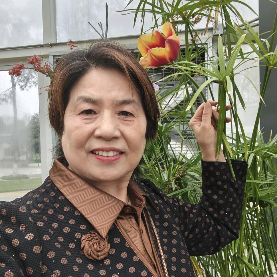 图图外婆