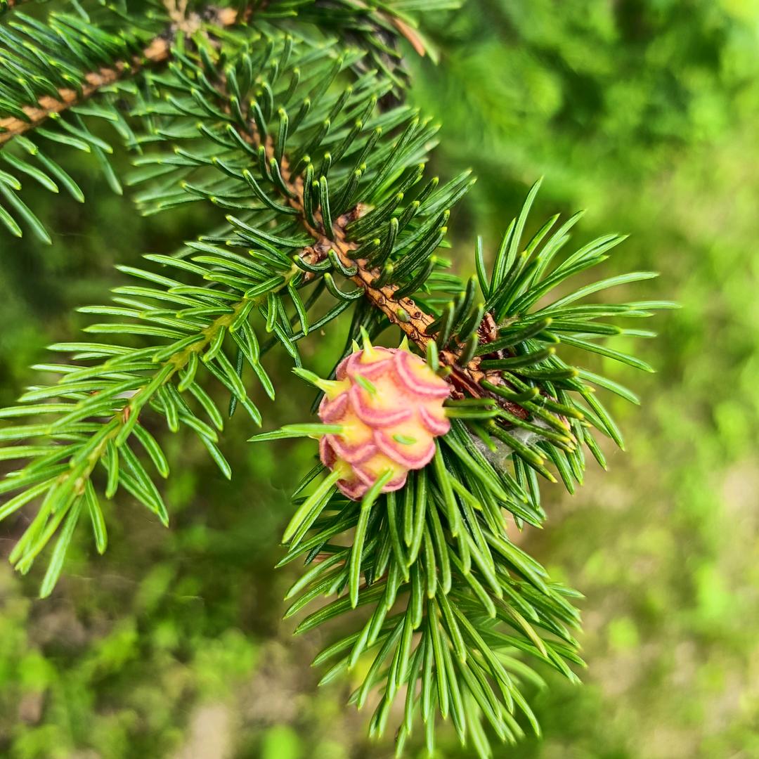 浮生醉酒回梦里