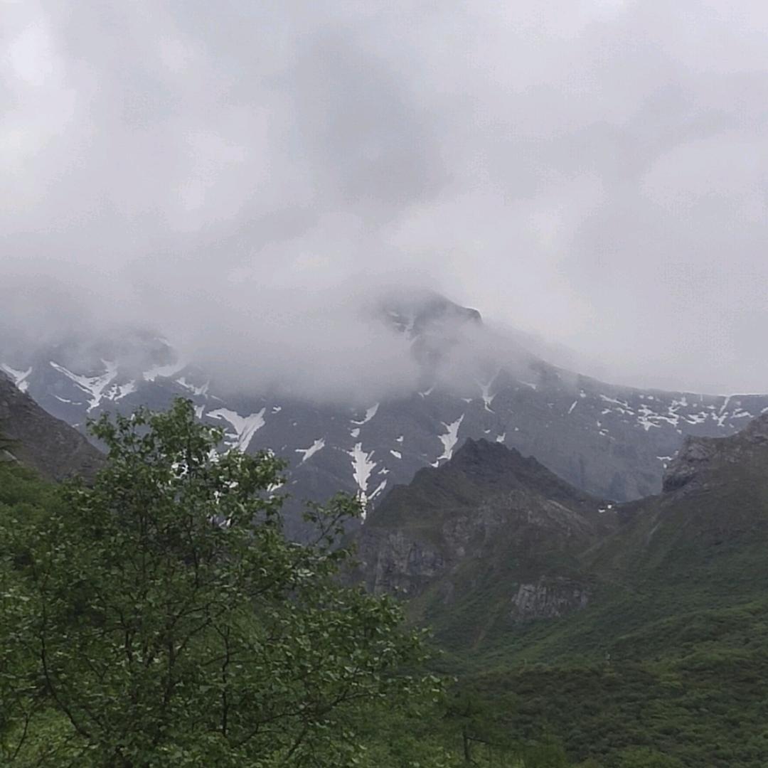 蓝钻羊绒