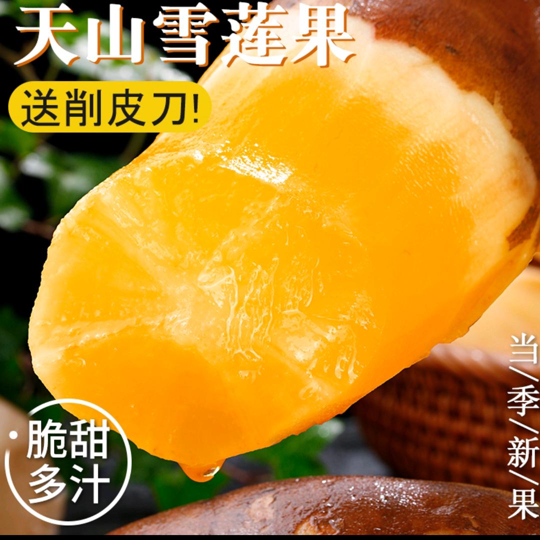 云南天山雪莲果