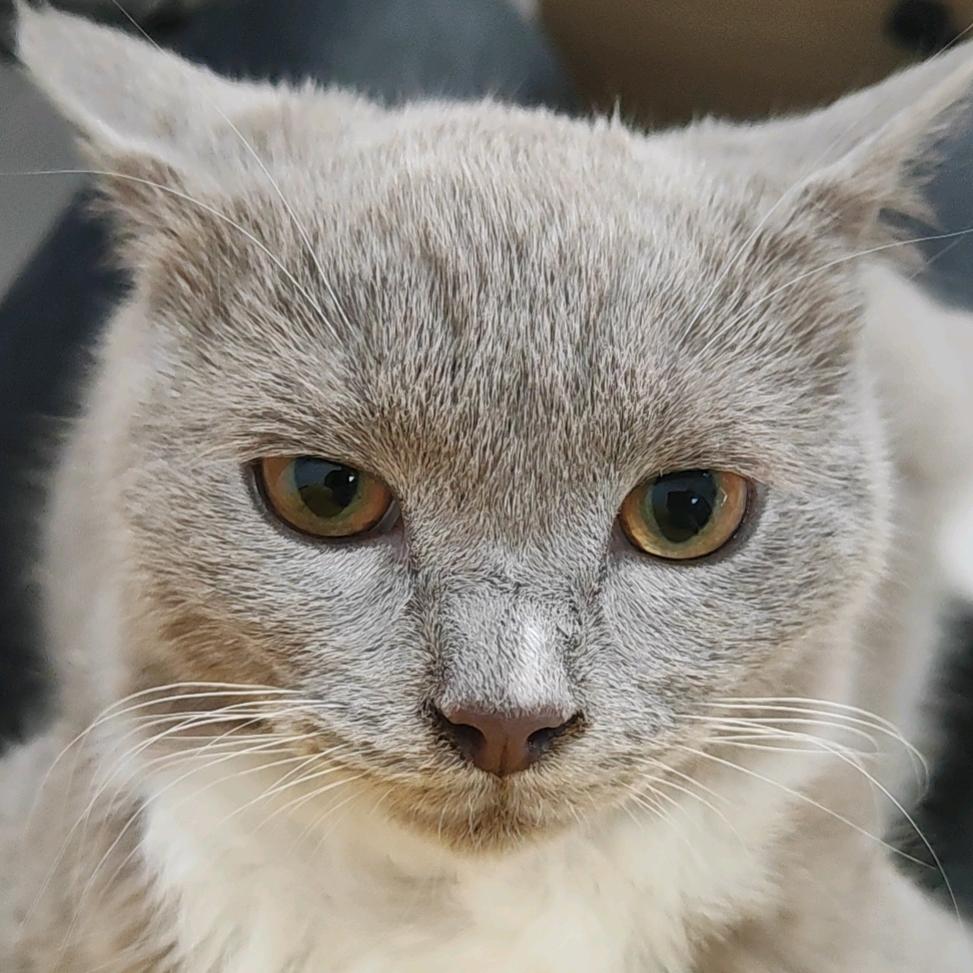 贝姆梦梵迪宠物专卖店