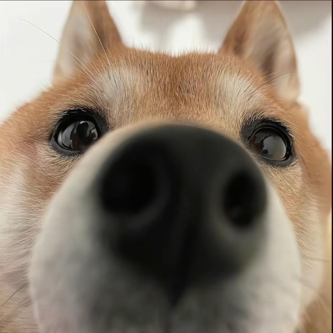 臭彩虹