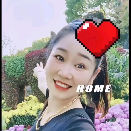 乐乐姐