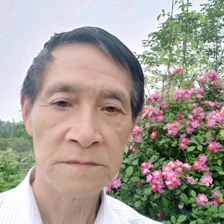 四零后（晚上8点2O开播）