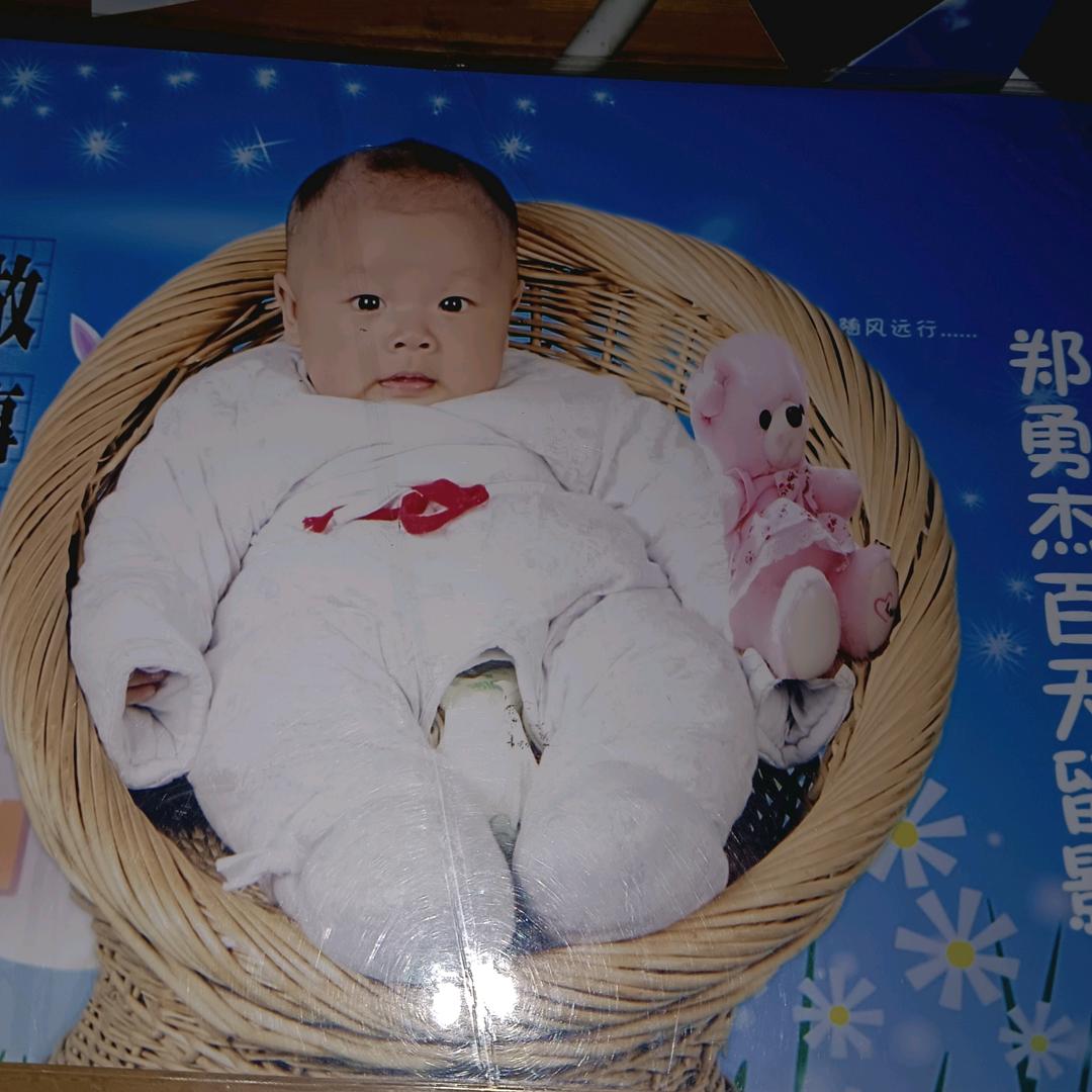 江苏泰州勇杰犬舍，家有幼犬，成年犬，