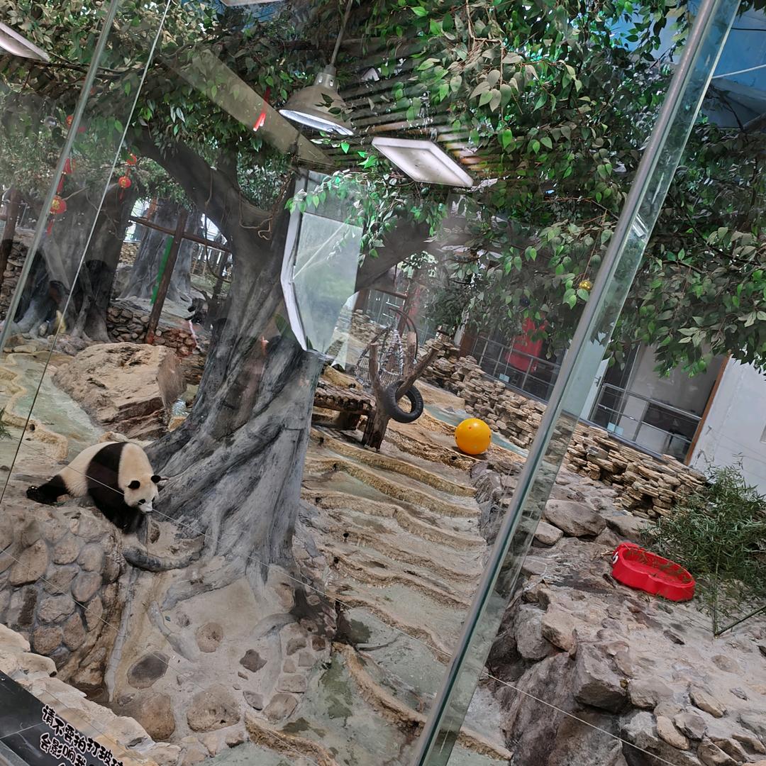 shery丶cona