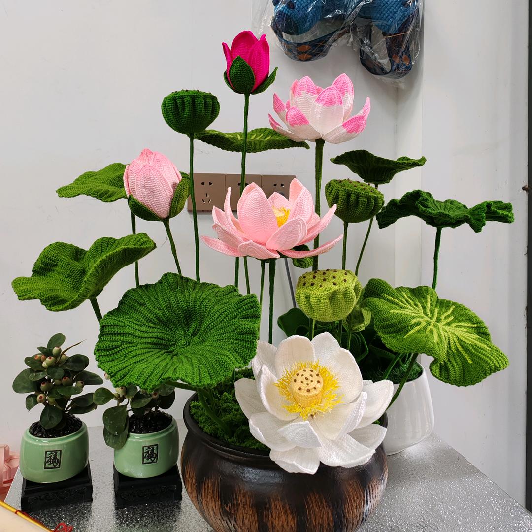 雨梦依