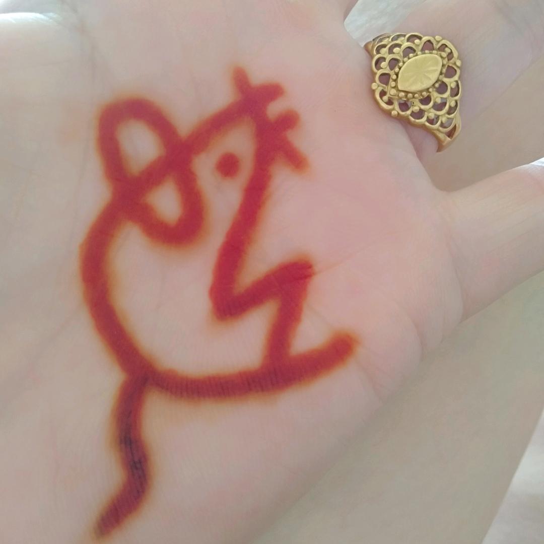 放飞的小鸟