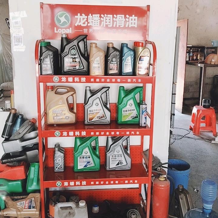 南美鹰