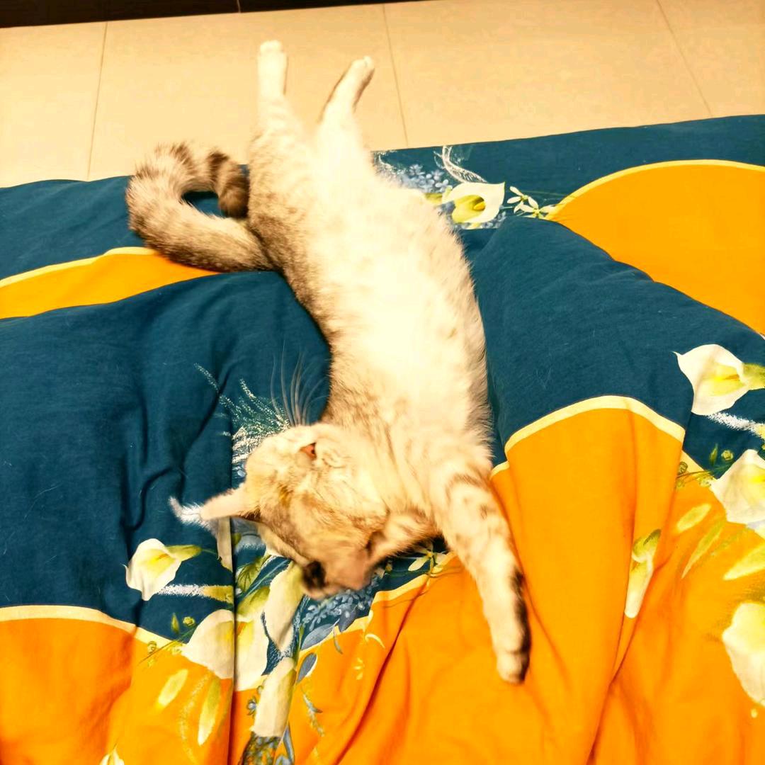 ∽遇见∽