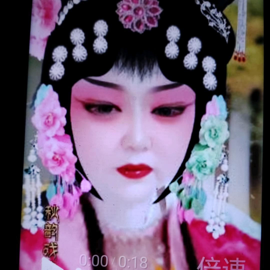 村头一枝花。爱戏曲。9:10开播。