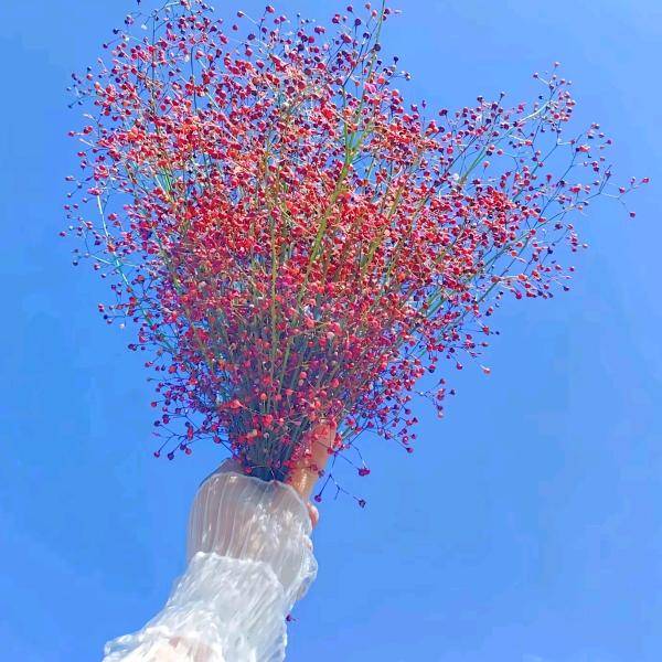简心