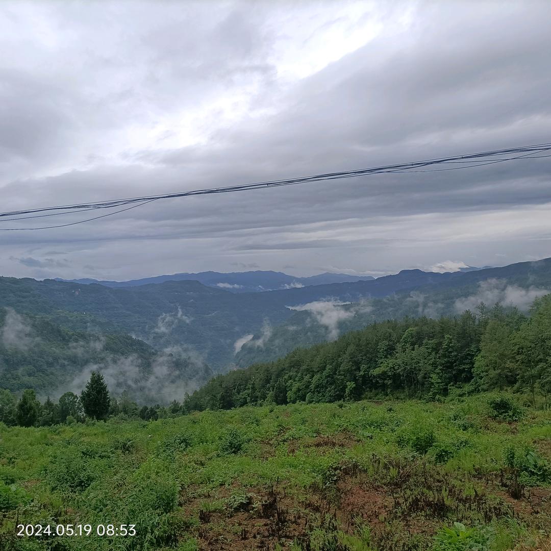 ꧁꫞漠💞然꫞꧂