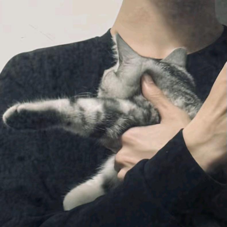 吃可爱多长大的小恺