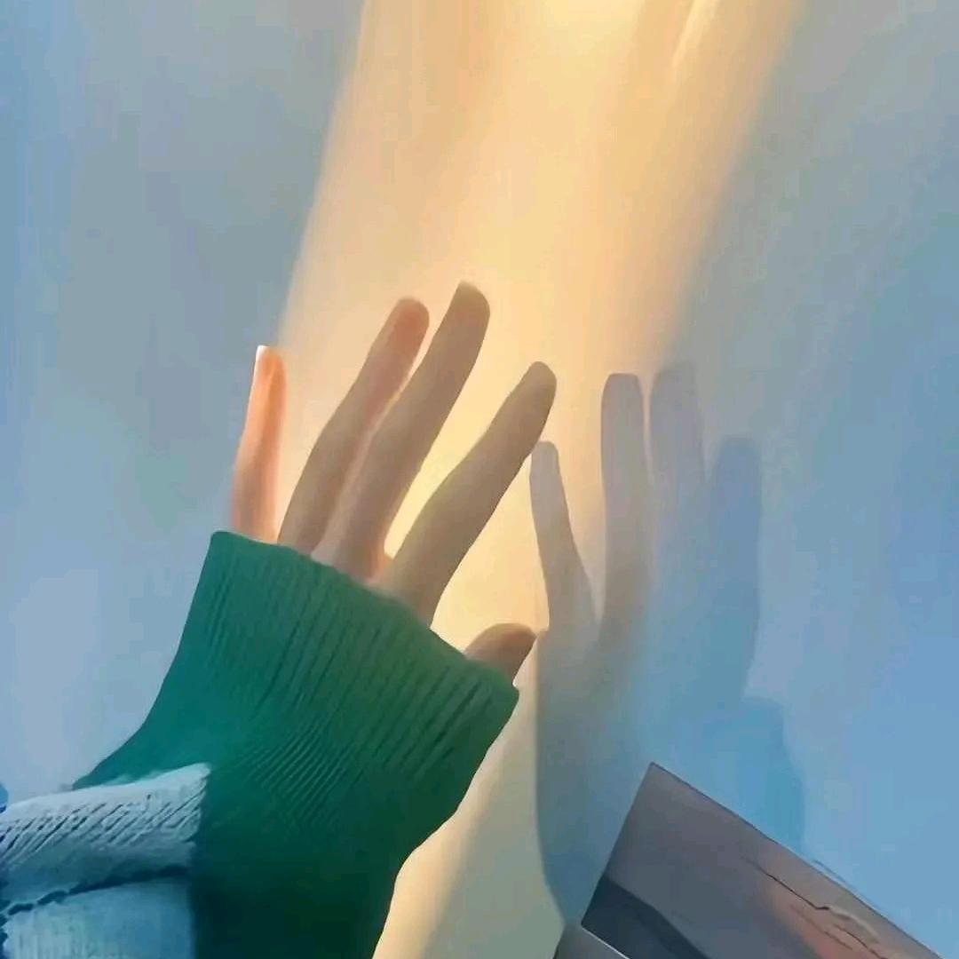 茯苓