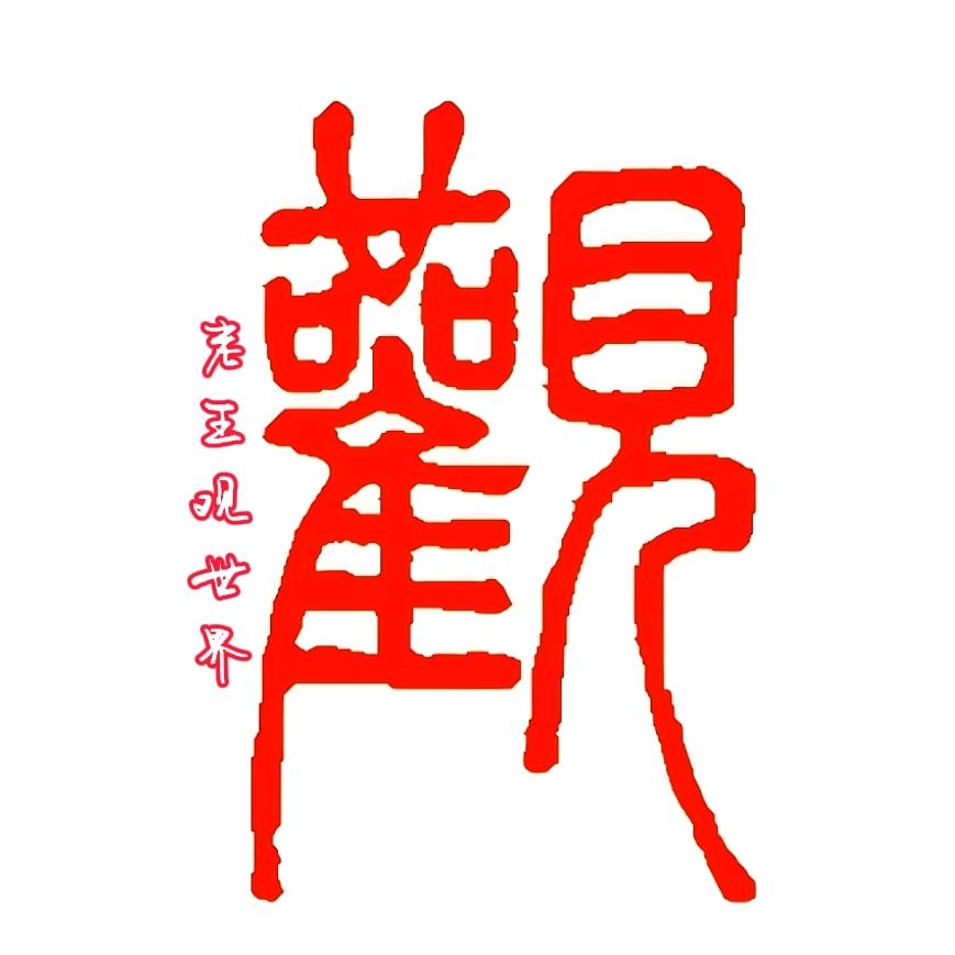 老王观世界
