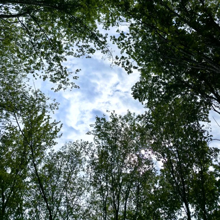 Sunsetོ.归零🥀