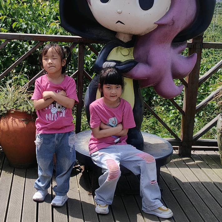 新鲜鹅肉批发，批发得多价格越便宜