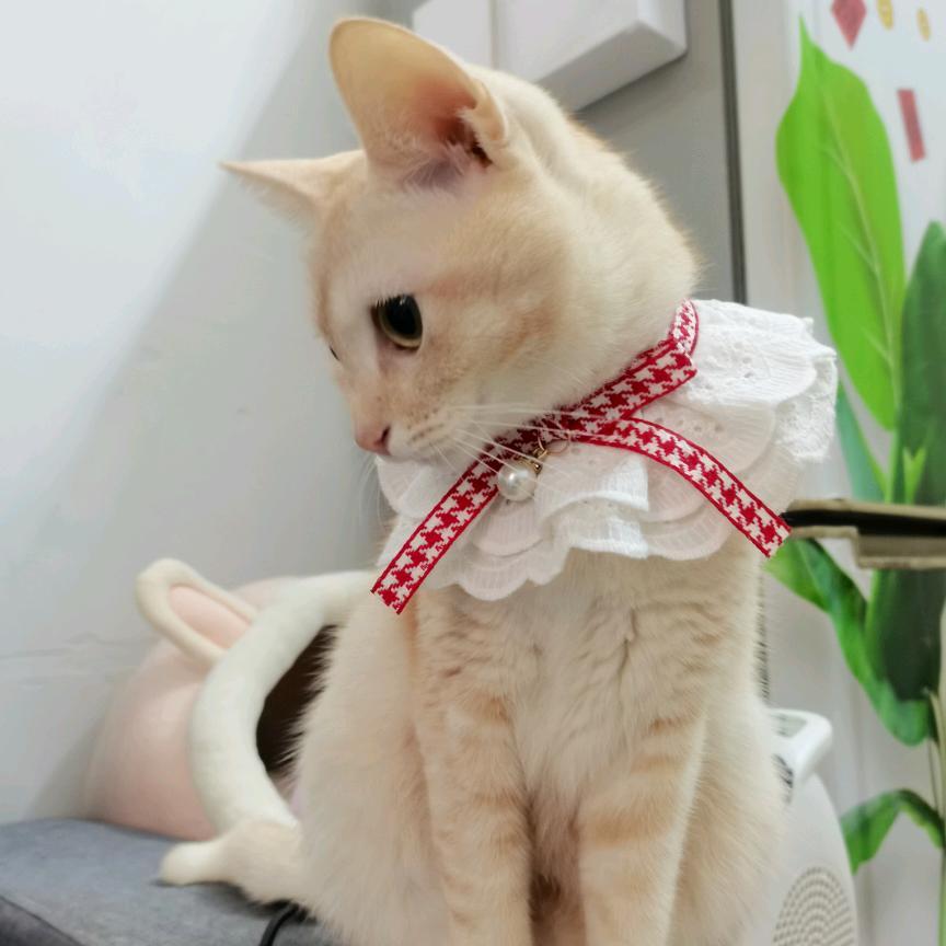 许你小确幸