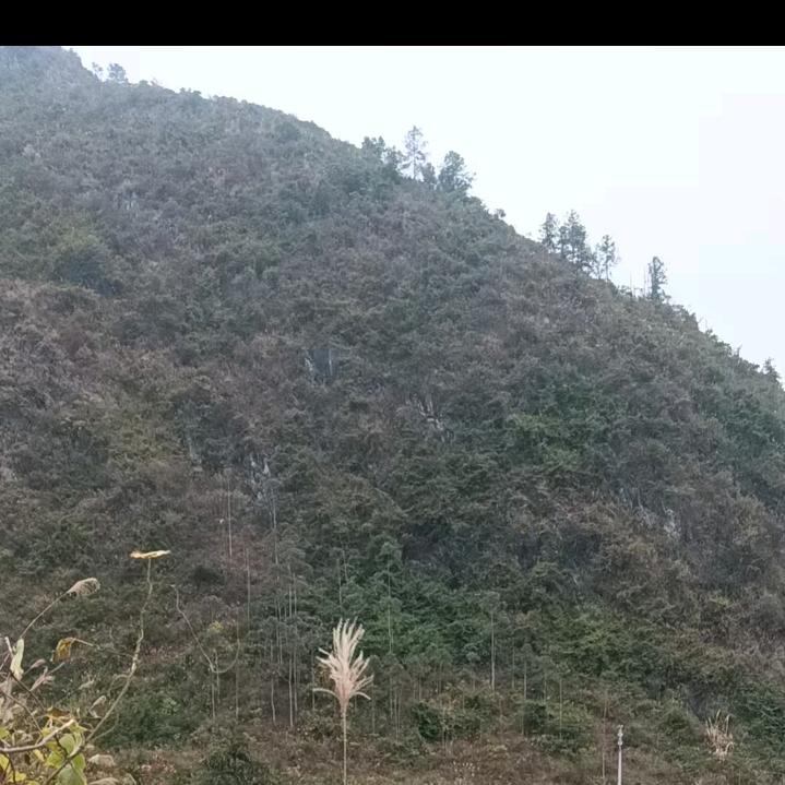 茫茫人海