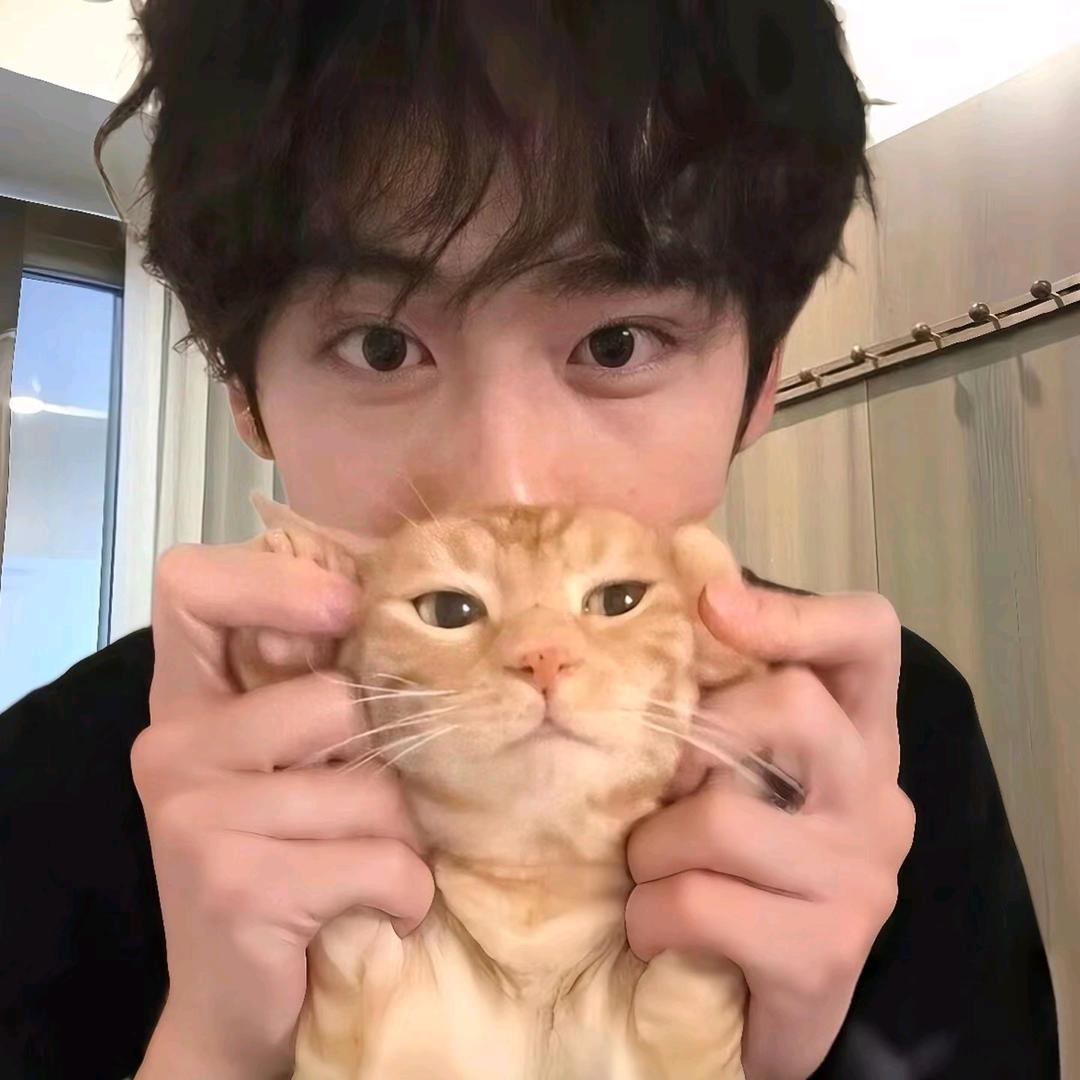派大心❤️