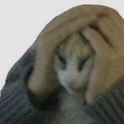罗罗汤马西头像