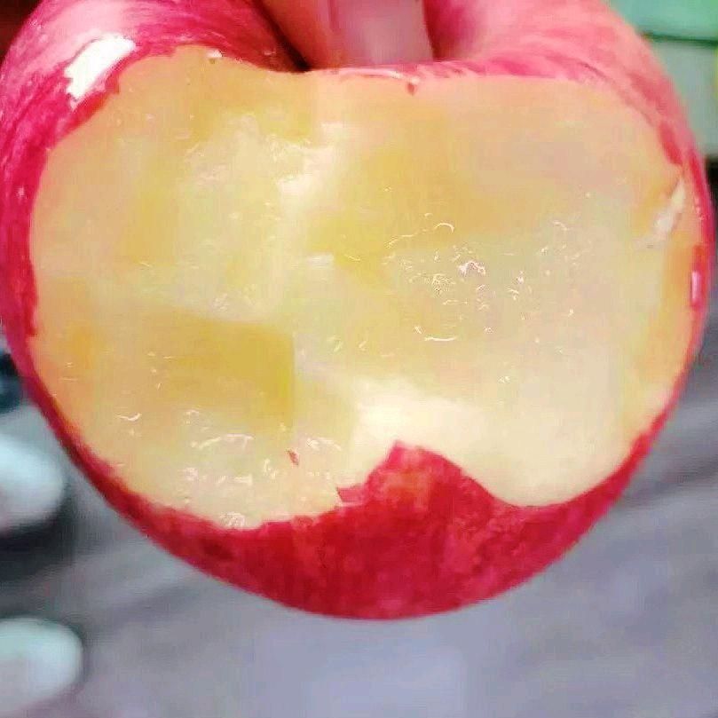 无言以对