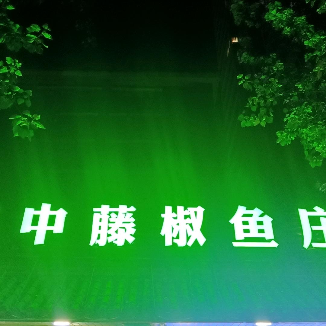 西安汉中藤椒鱼庄