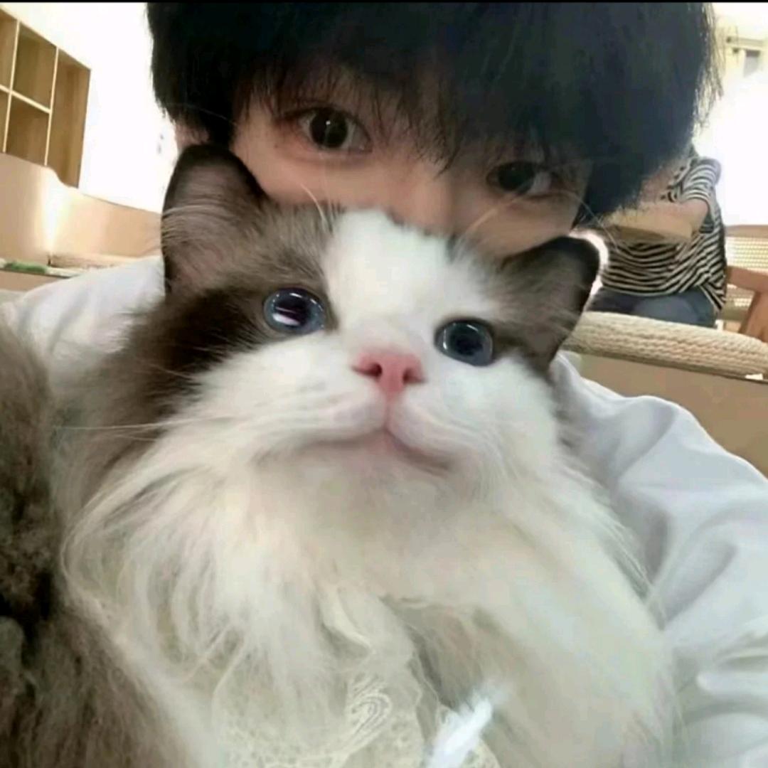 不想偷懒