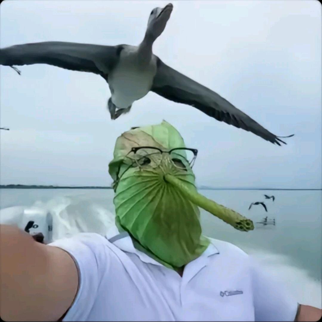 冷锋VS叶问