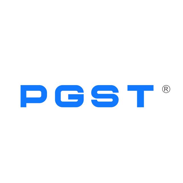 PGST燃气报警器
