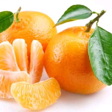 橘子🍊🍊