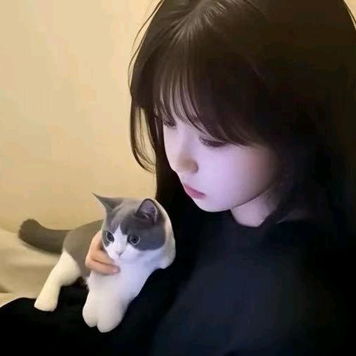 非卖品（不刷礼物）