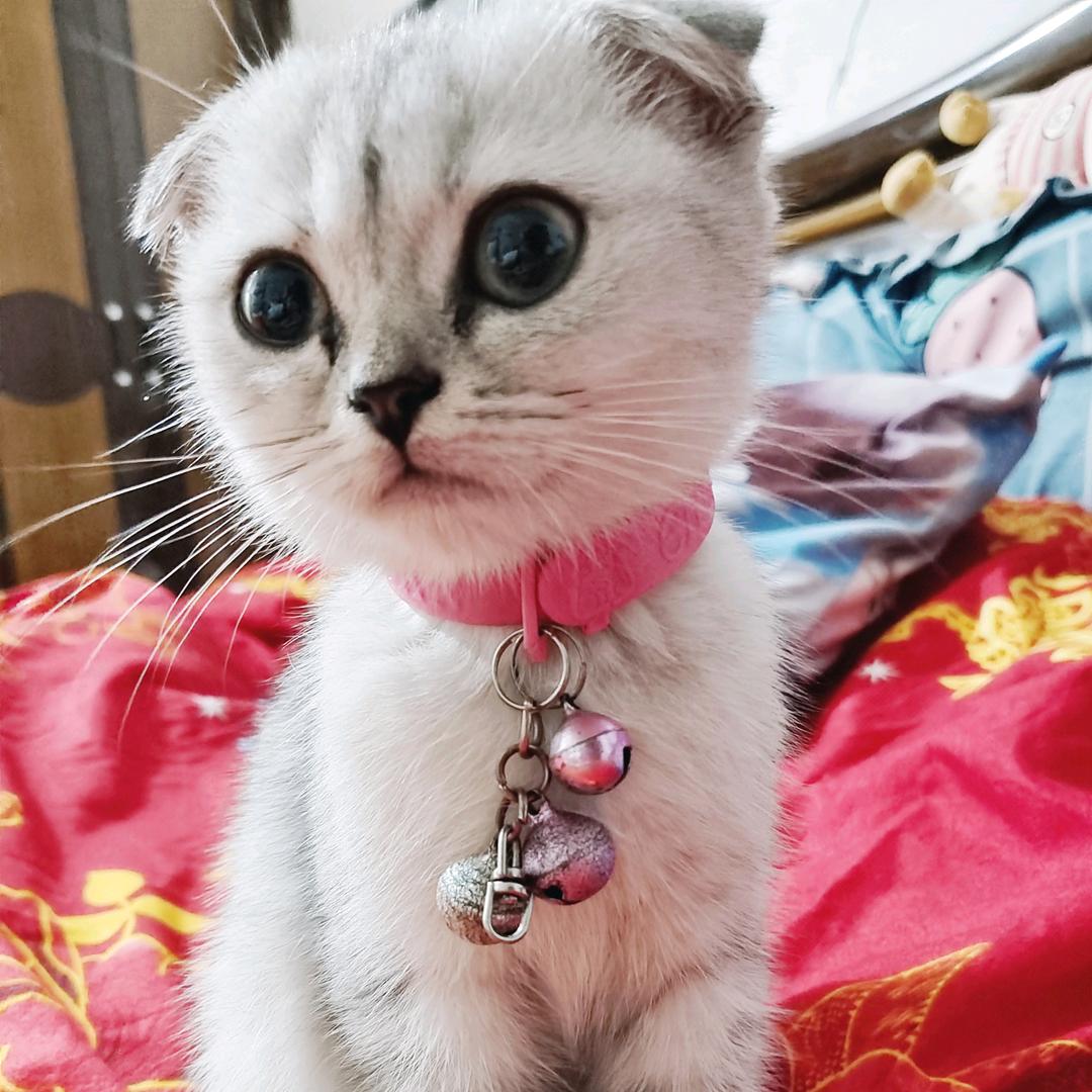 永恒❤