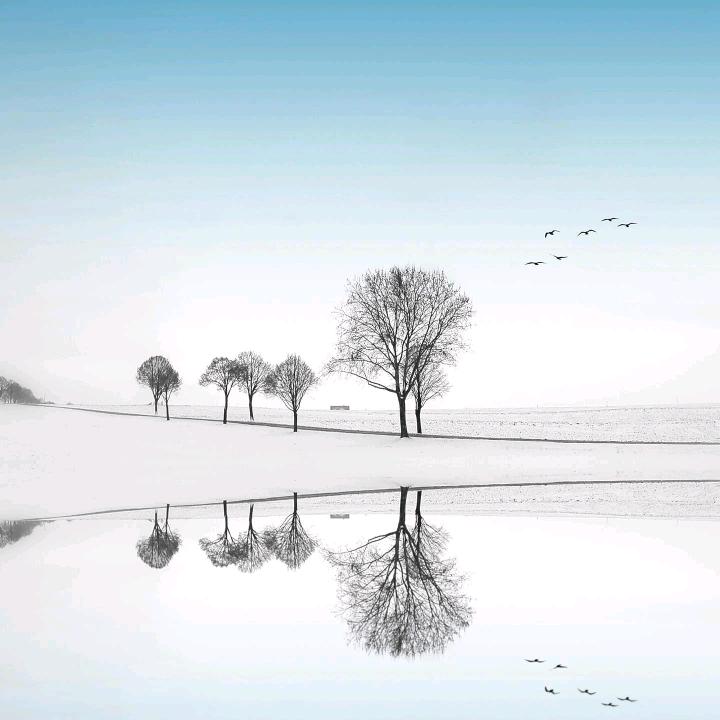 ༺๑꧁🍁随缘꧂๑༻