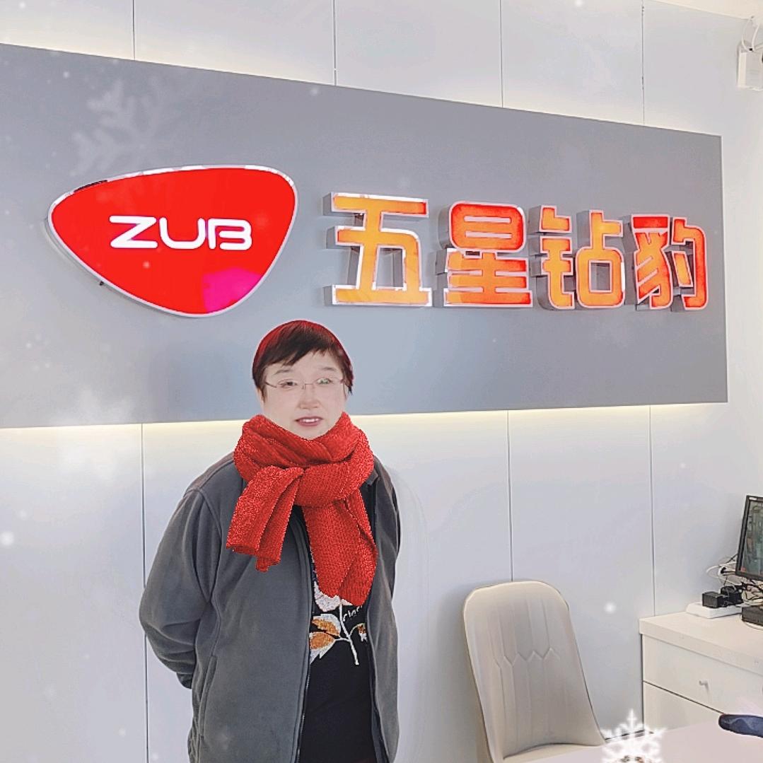 五星钻豹电动车（六西街）