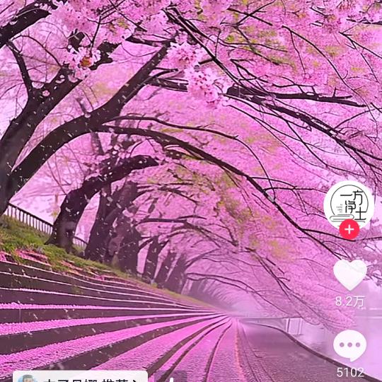 年华💘💘