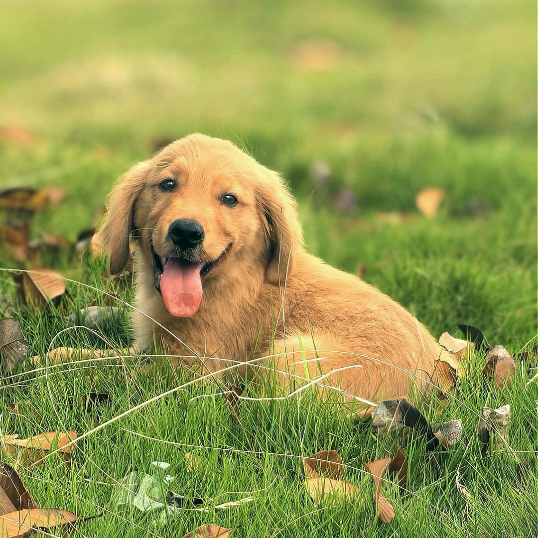 遗憾收场💦 💦