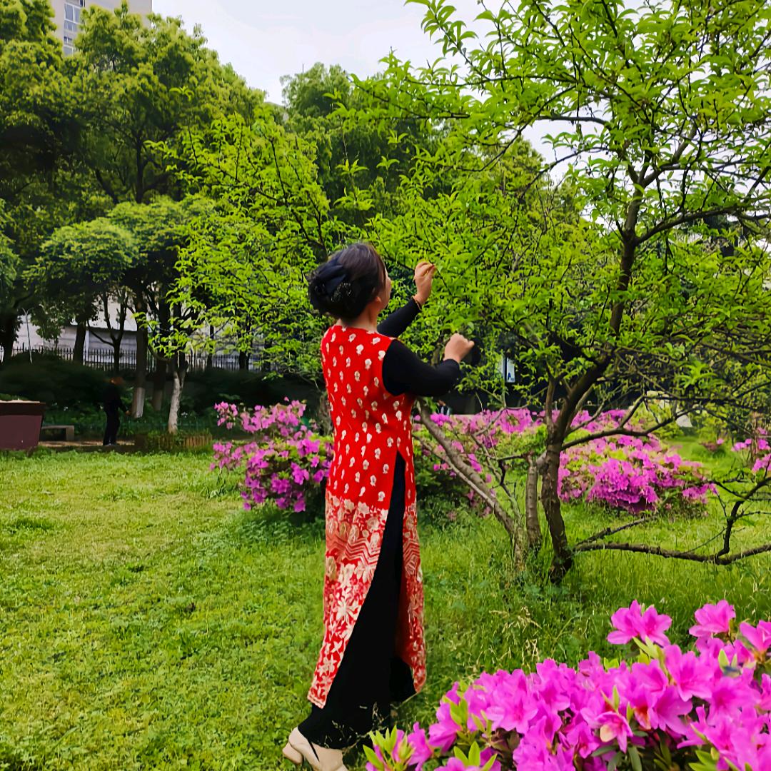 燕南飞        开启直播