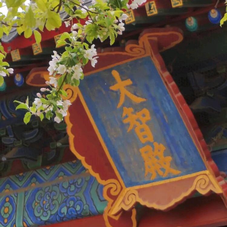 莛殪文创店