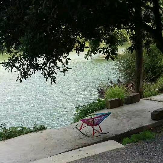 翠姐姐在深圳