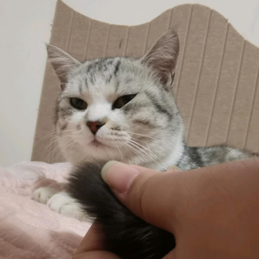可爱多🥰