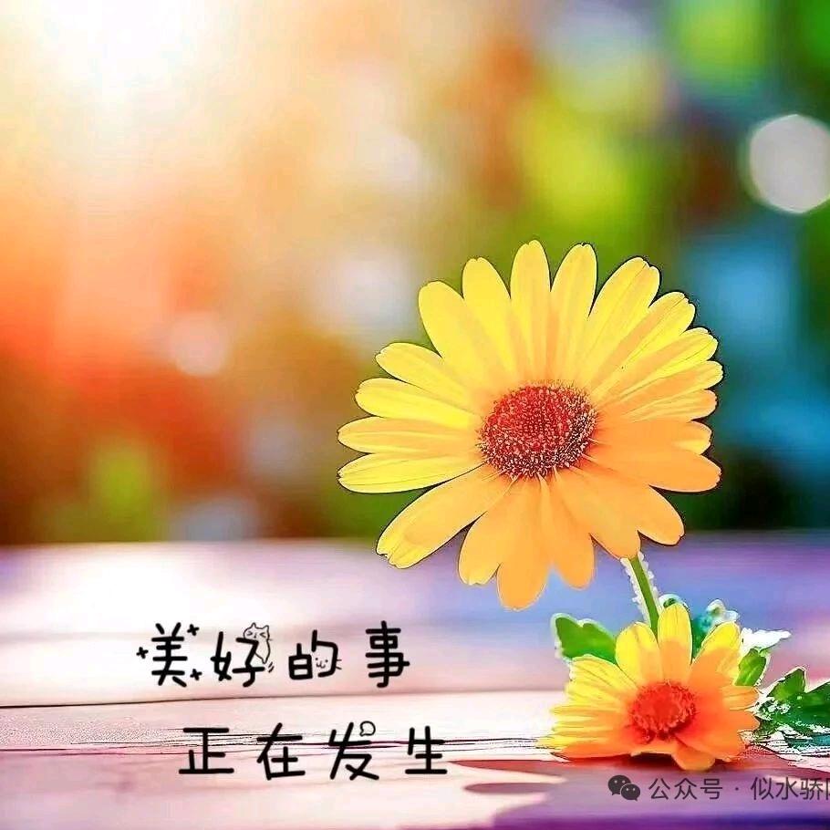 星辰大海🧚‍♀️