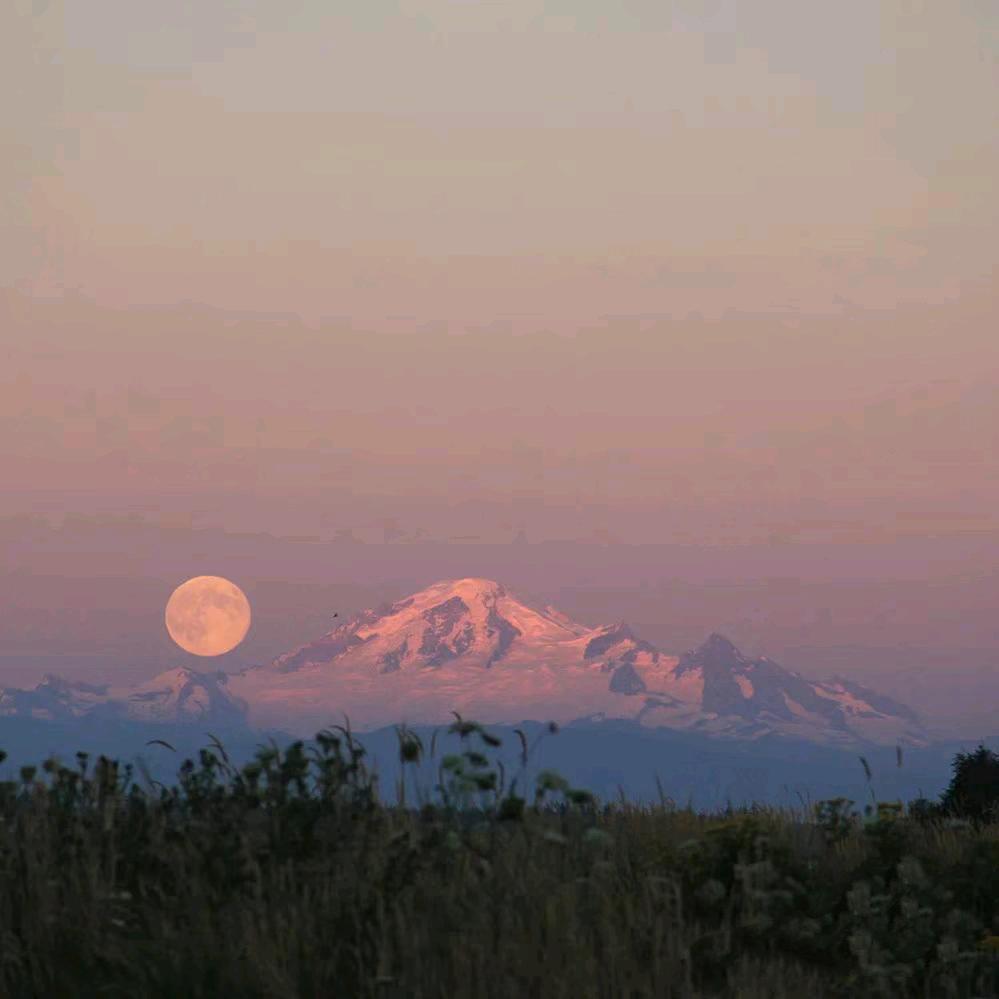 大管家平台服务中心