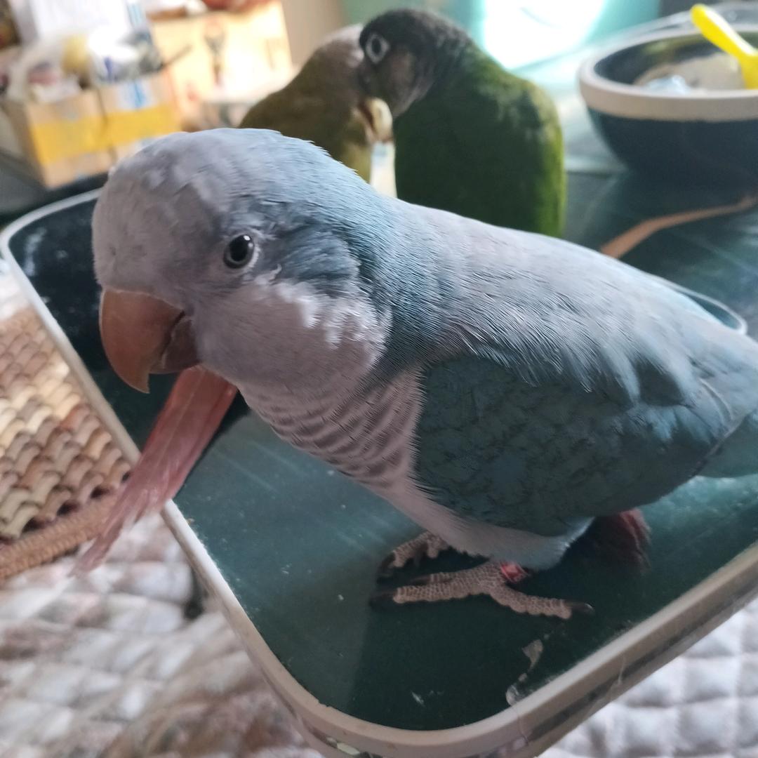 媛媛🉐⭕️💭满满