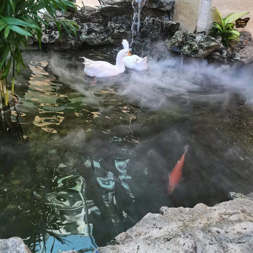 (๑><๑）霸气女神（｡ò ∀ ó｡）